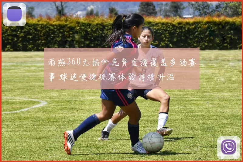 雨燕360无插件免费直播覆盖多场赛事 球迷便捷观赛体验持续升温