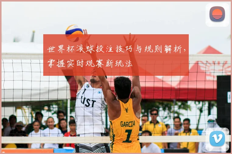 世界杯滚球投注技巧与规则解析，掌握实时观赛新玩法