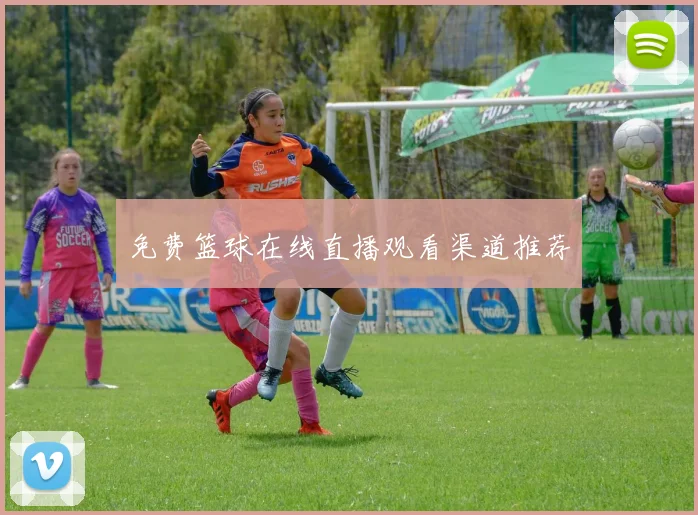 免费篮球在线直播观看渠道推荐