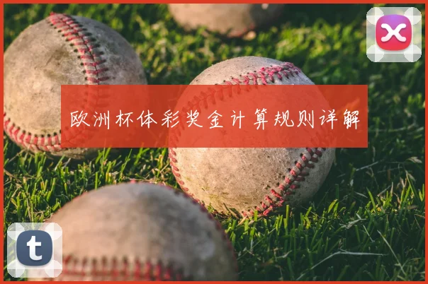 欧洲杯体彩奖金计算规则详解