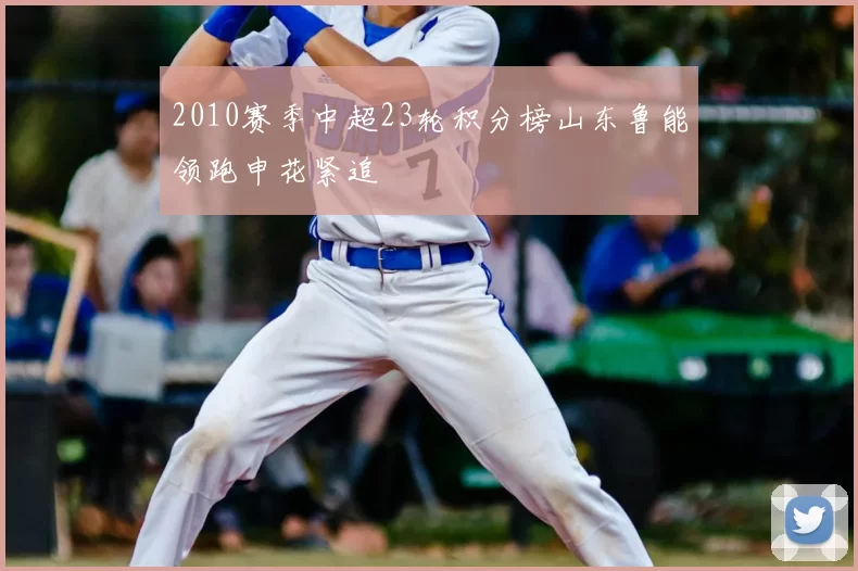 2010赛季中超23轮积分榜山东鲁能领跑申花紧追