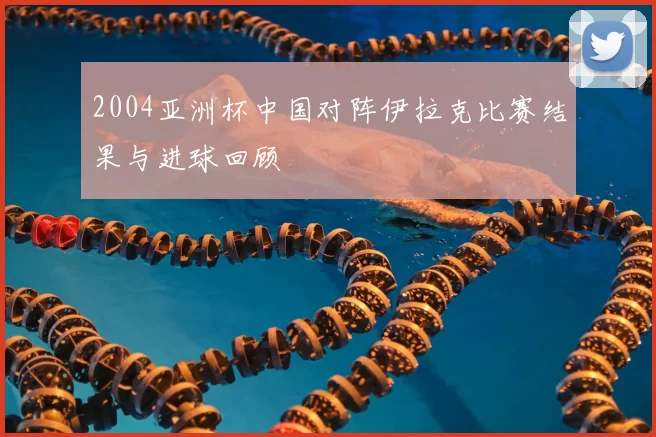 2004亚洲杯中国对阵伊拉克比赛结果与进球回顾