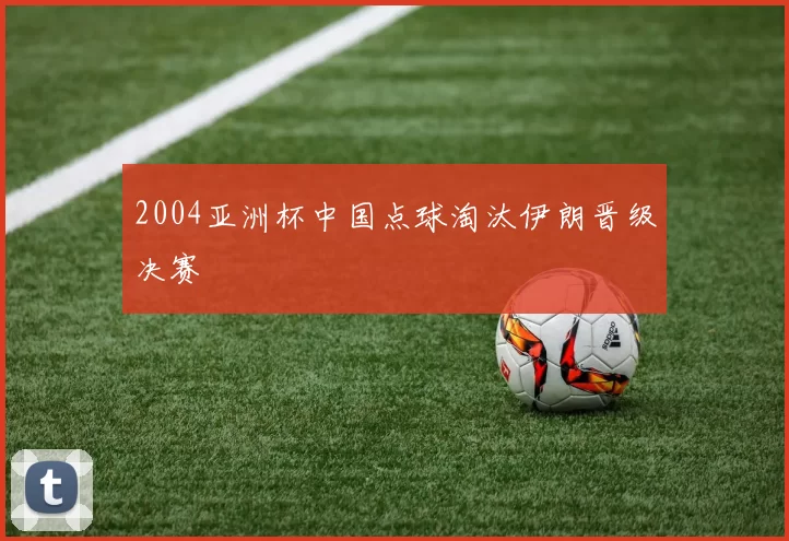 2004亚洲杯中国点球淘汰伊朗晋级决赛