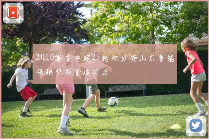 2010赛季中超25轮积分榜山东鲁能领跑申花紧追其后